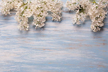 Similar image 20112383