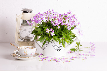 Similar image 20107583