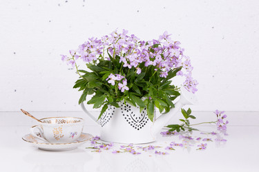 Similar image 20107585