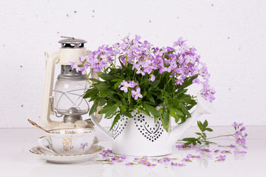 Similar image 20107597