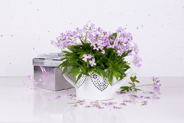 Similar image 20107613