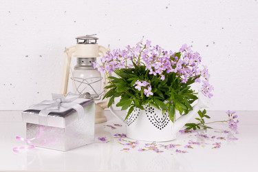 Similar image 20107619