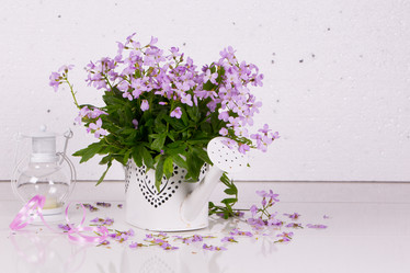 Similar image 20107635