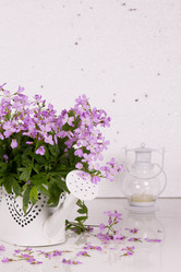 Similar image 20107646