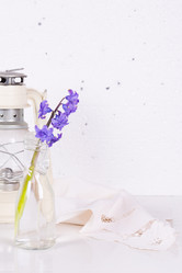 Similar image 20107652