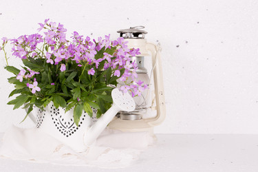 Similar image 20107595