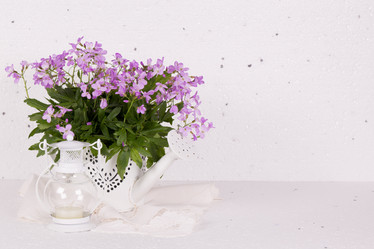 Similar image 20107599