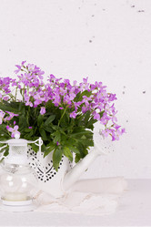 Similar image 20107600