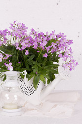 Similar image 20107603