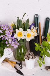 Similar image 20107624