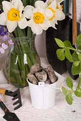 Similar image 20107625