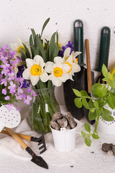 Similar image 20107626