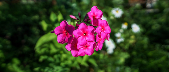 Similar image 20160252