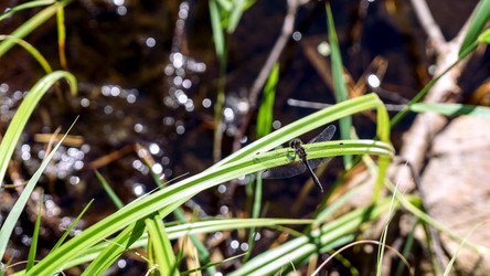 Similar image 20160253