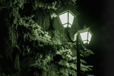 Similar image 20058948