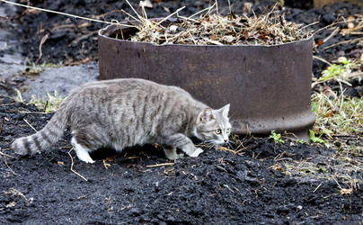 Similar image 20083243