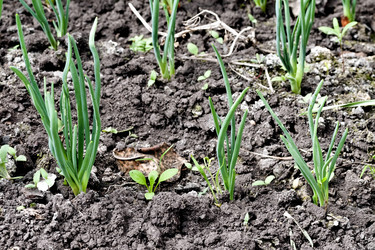 Similar image 20083245