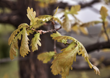 Similar image 20058964