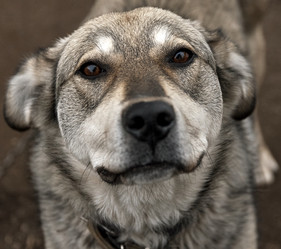 Similar image 20058982