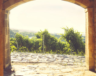 Similar image 20058001