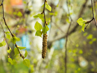 Similar image 20108818