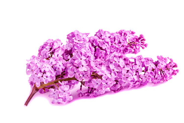 Similar image 20112284