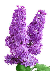 Similar image 20112330