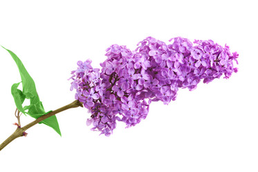 Similar image 20112333