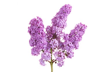 Similar image 20112352