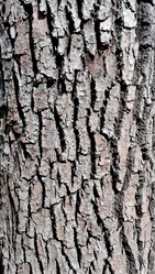 Similar image 20083248