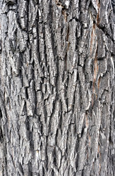 Similar image 20076365