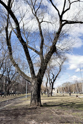 Similar image 20076369