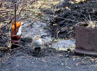 Similar image 20076371