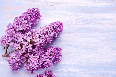 Similar image 20112358