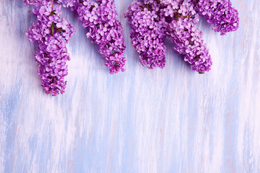 Similar image 20112360