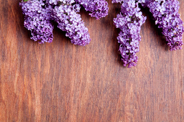 Similar image 20112399