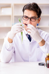 Similar image 20103444