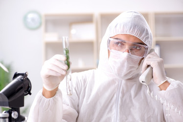 Similar image 20103449