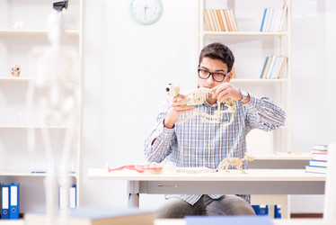 Similar image 20103644