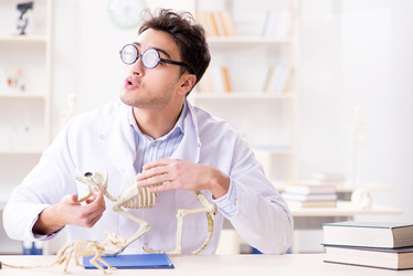 Similar image 20103660