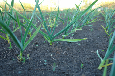 Similar image 20106262