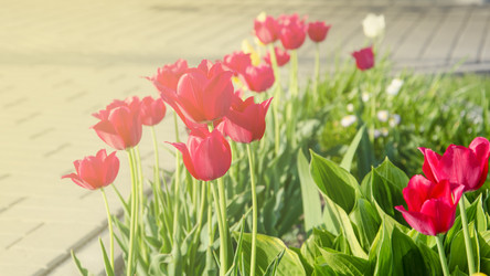 Similar image 20106184