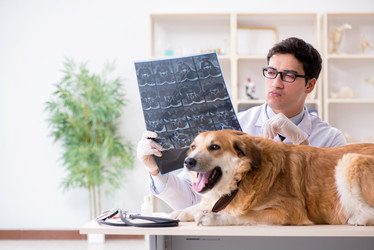 Similar image 20103944