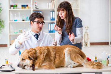 Similar image 20103954