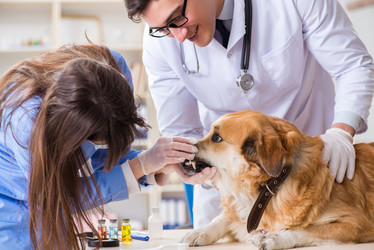 Similar image 20103962