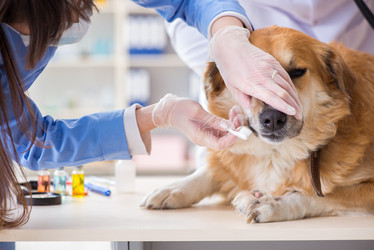 Similar image 20103971