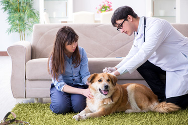 Similar image 20103974