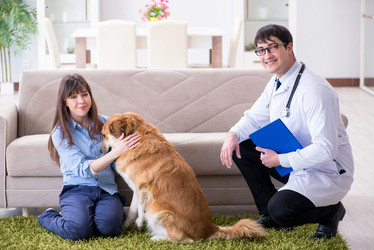 Similar image 20103975