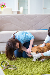 Similar image 20103978