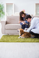 Similar image 20103981